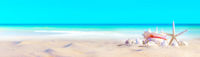 Keuken achterwand Turquoise seashells on Sandy Beach / seashore, beach holiday Vacation background  © Philip Steury