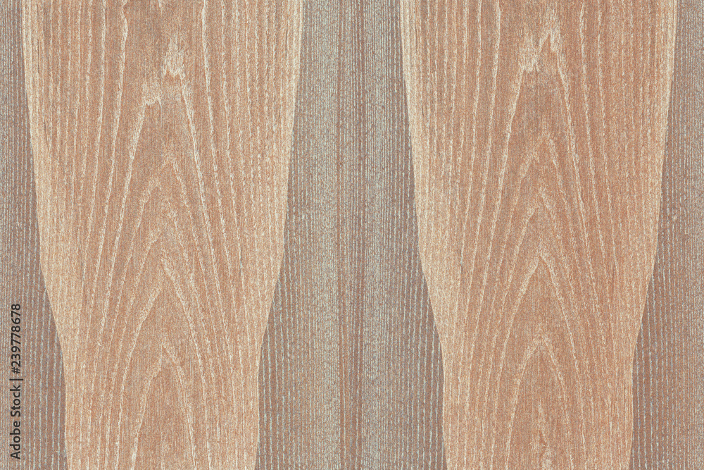 light brown ash-tree timber tree wood structure texture background ...