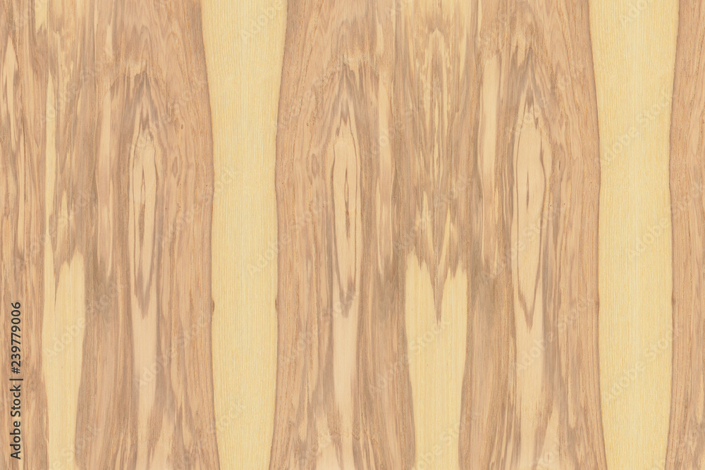 light brown ash-tree timber tree wood structure texture background ...