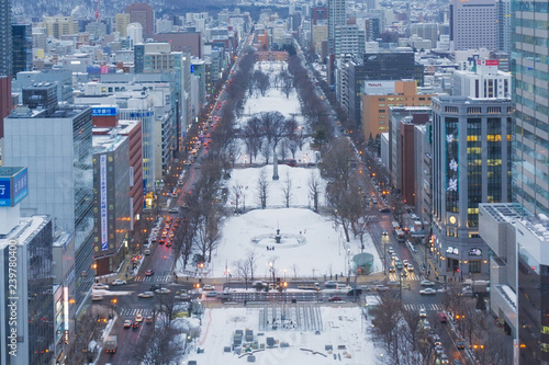 Odori park in winter, Sapporo, Japan