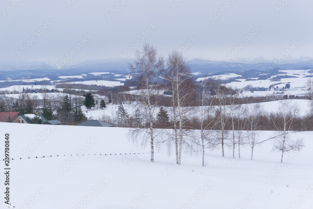 Biei in winter, Hokkaido, Japan
