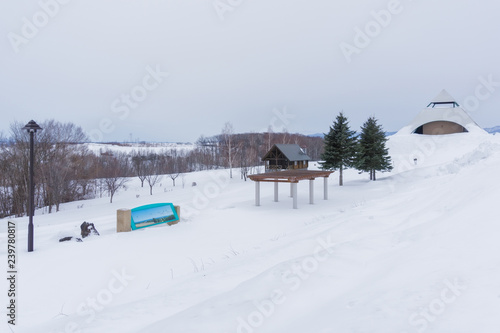 Wallpaper Mural Biei in winter, Hokkaido, Japan Torontodigital.ca