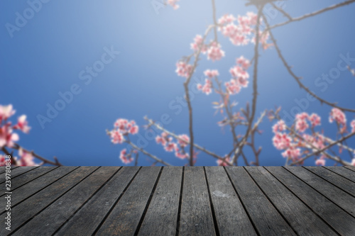 Empty wooden table platform with Cherry blossom background