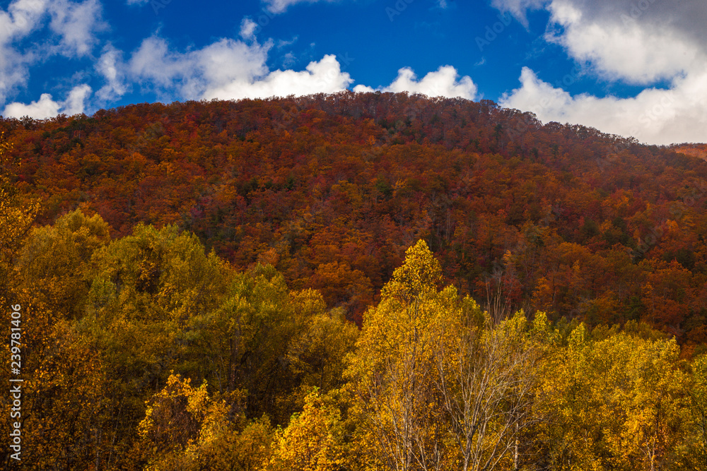 Smoky Mountain mountainside at autumn