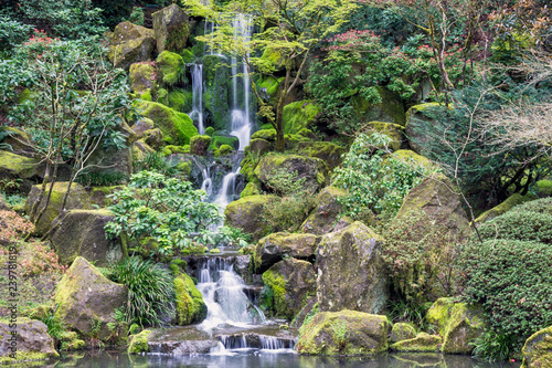 Fototapeta Naklejka Na Ścianę i Meble -  Waterfalls at Japanese Garden, Portland Oregon