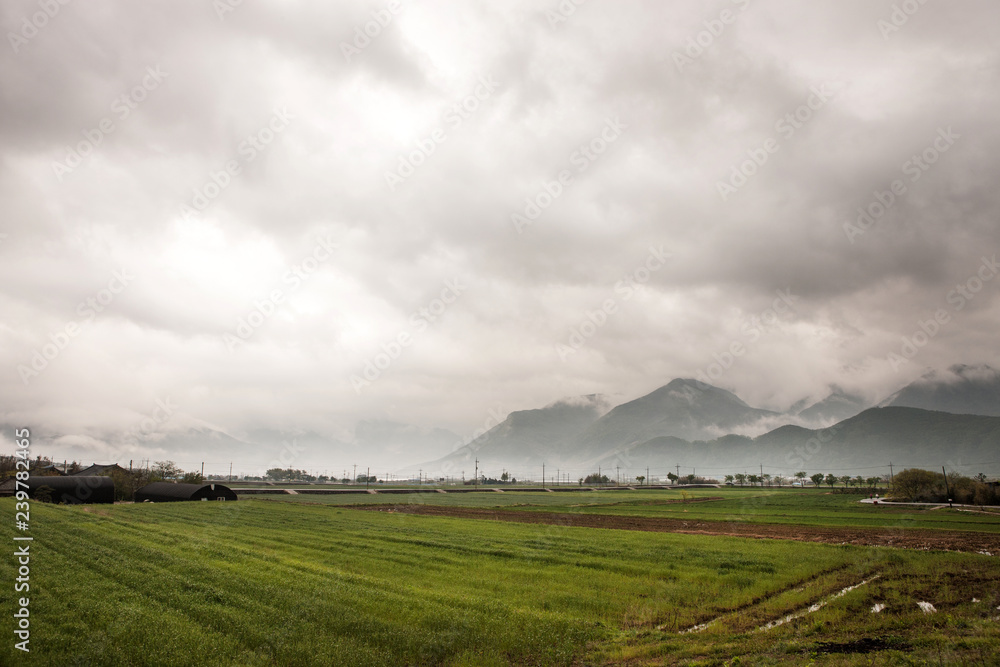 This is the view of the early morning mist. This is the view of the early morning mist.