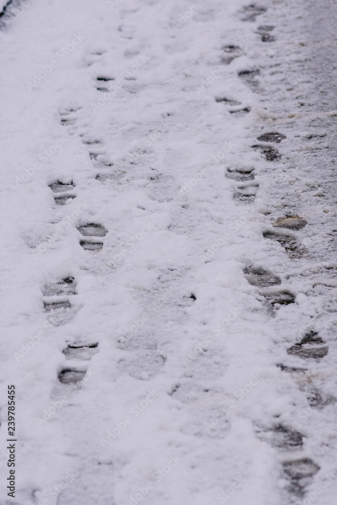 footprints in the snow footprints in the snow