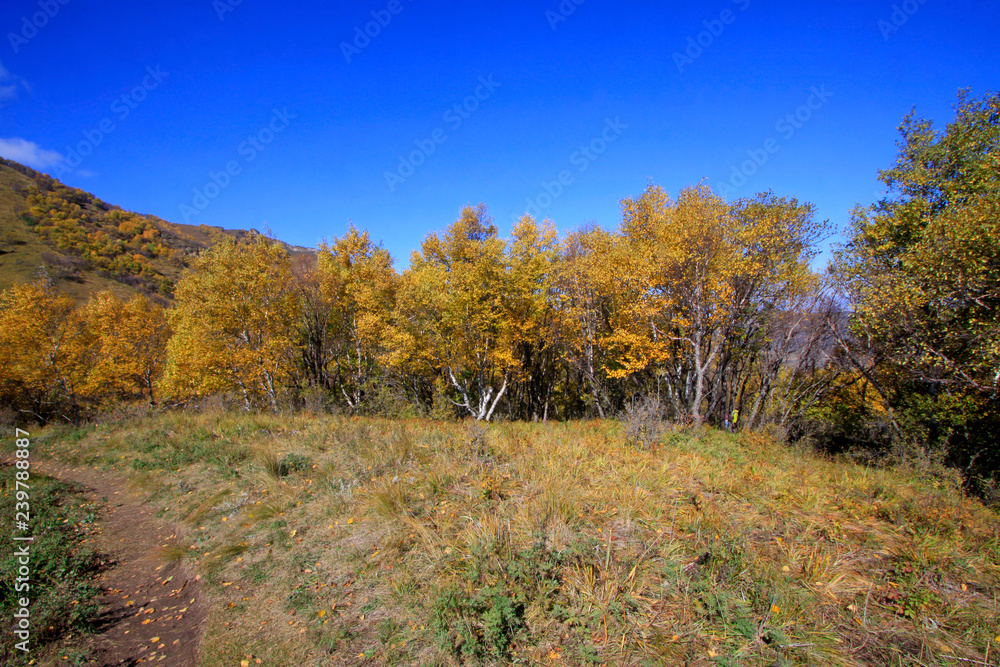 mountain natural scenery