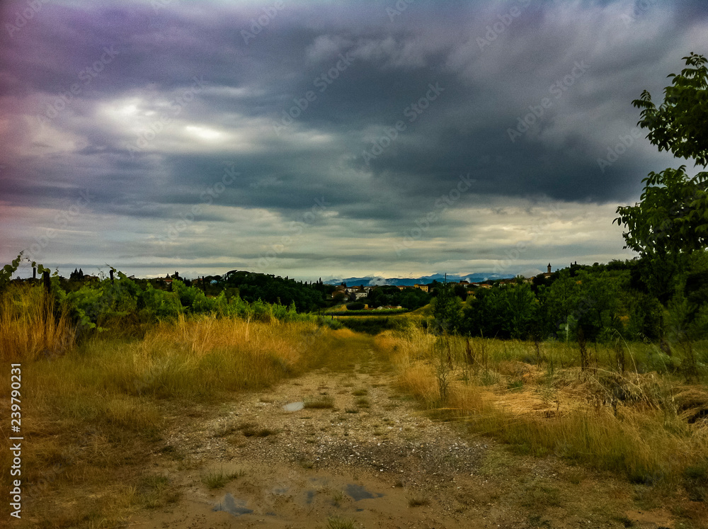 Obraz na plátně Vinyards Under a Cloudy Sky in Tuscany, Italy