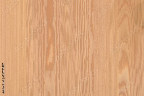 pine tree timber wood wallpaper surface texture background veneer