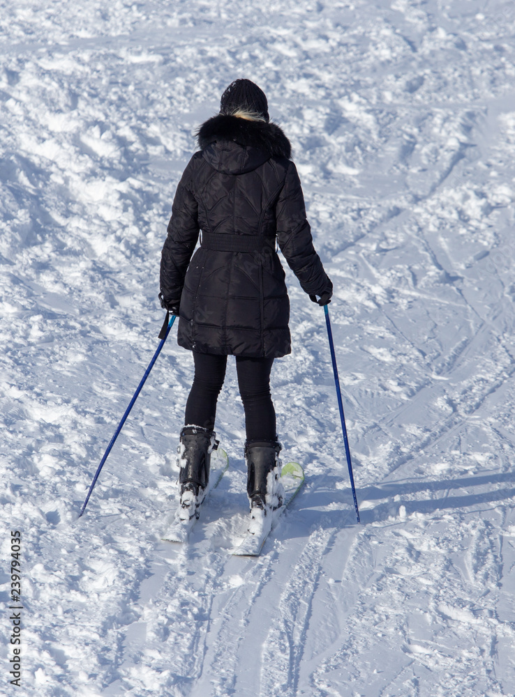 Girl skiing in the snow from the mountain Girl skiing in the snow from the mountain
