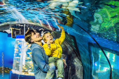 Father and son look at the fish in the aquarium in oceanarium