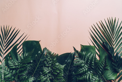 Tropical palm leaves with copy space