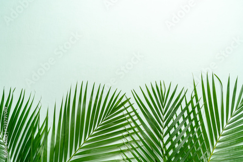 Tropical palm leaves with copy space