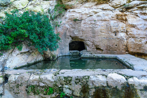 Pool in Wadi Siah, Haifa photo