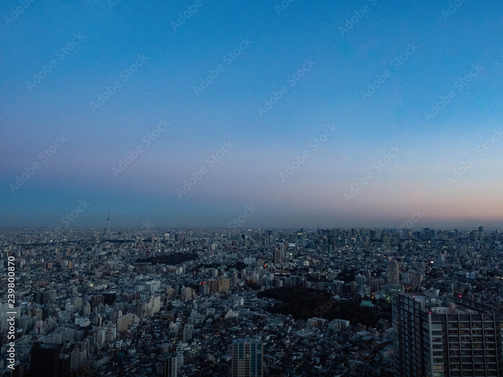 【都市景観】東京　高層ビル群　夕方
