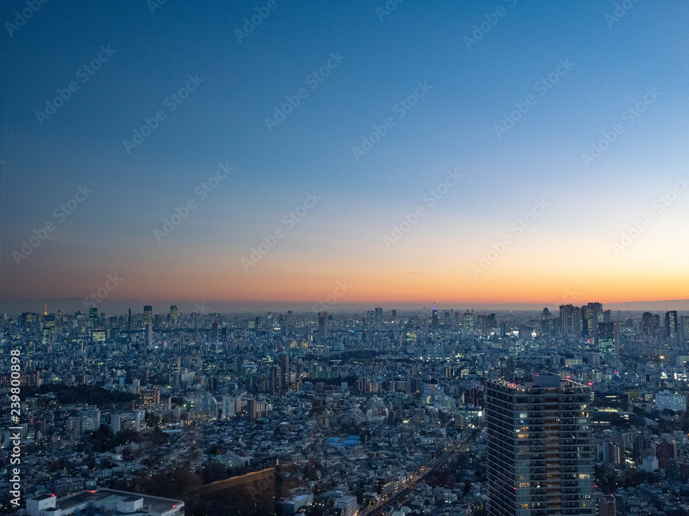 【都市景観】東京　高層ビル群　夜景　池袋-新宿ほか