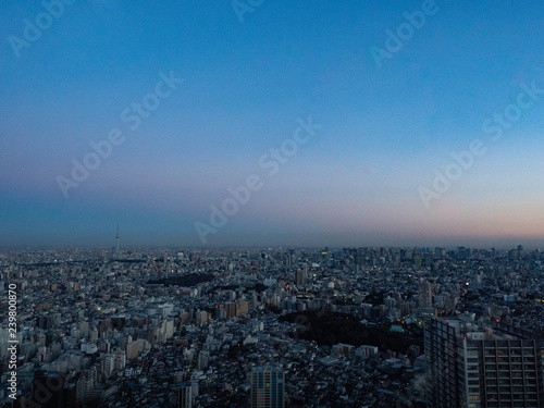 【都市景観】東京　高層ビル群　夕方