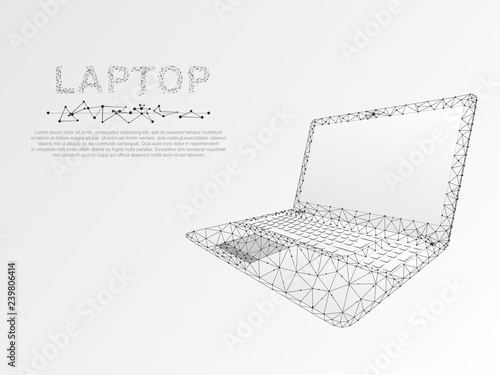 Laptop. Low poly model of a notebook. Connection with wireframe. Internet or digital devices and computer keyboard and monitor for text or image. Vector on white background