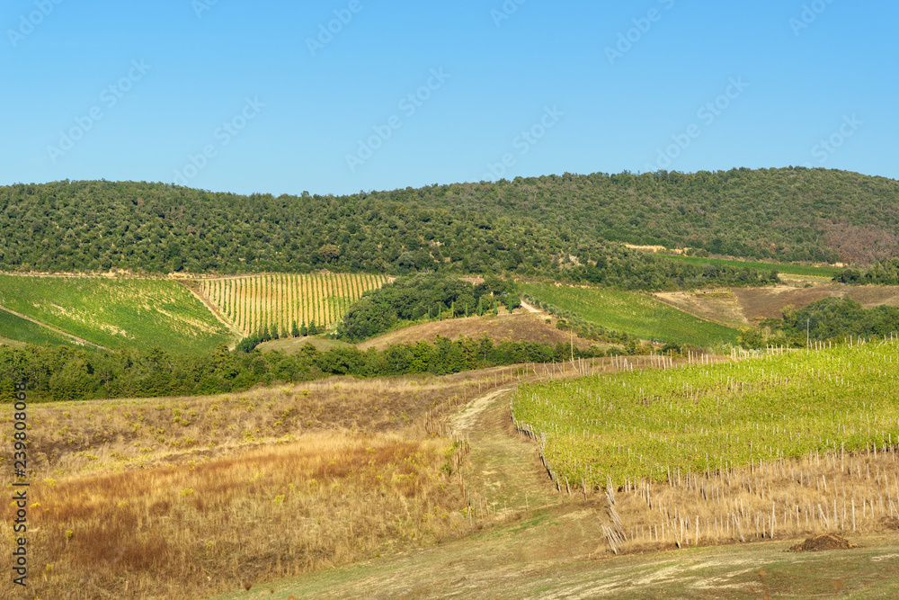 View of beautiful landscape of hills and fields near Asciano. Tuscany, Italy