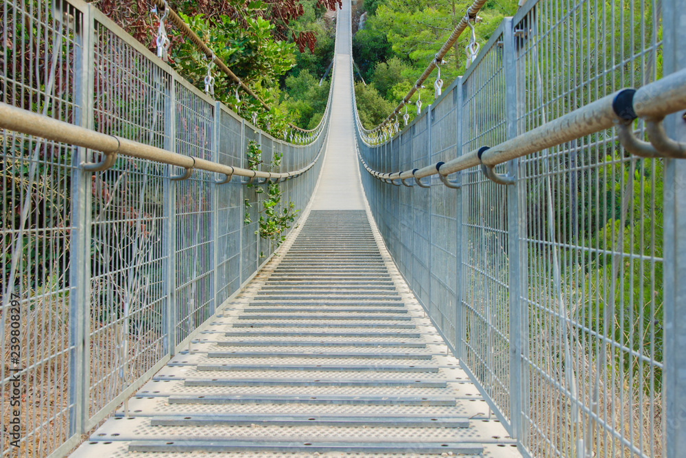 Obraz premium Hanging Foot Bridge