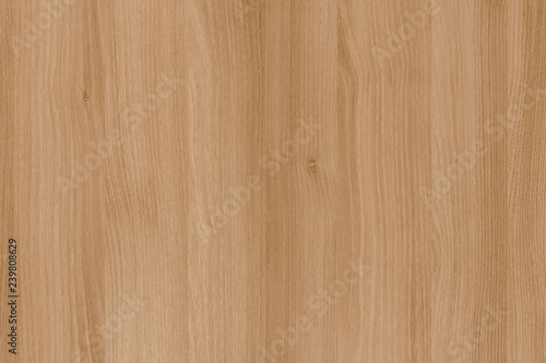 acacia timber tree wooden surface wallpaper structure texture background photo