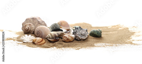 Seashells w piaska stosie odizolowywającym na białym tle