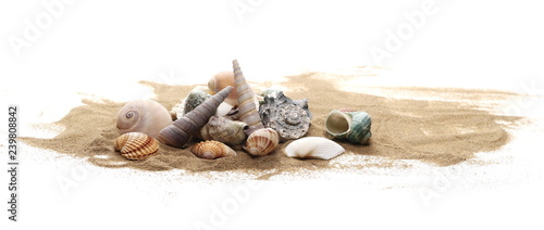 Seashells in sand pile isolated on white background