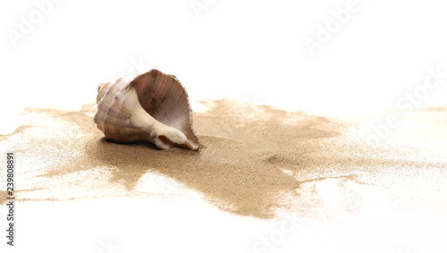 Seashell w piaska stosie odizolowywającym na białym tle