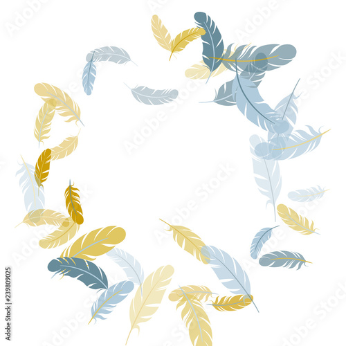 Detailed majestic feather on white design.