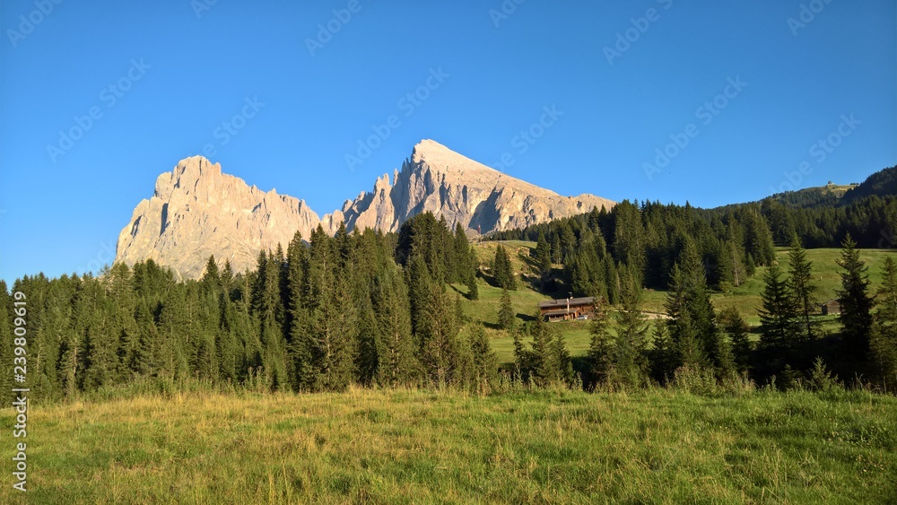 An amazing caption of the mountains in Trentino, with a great views to the dolomites of Brenta in summer days