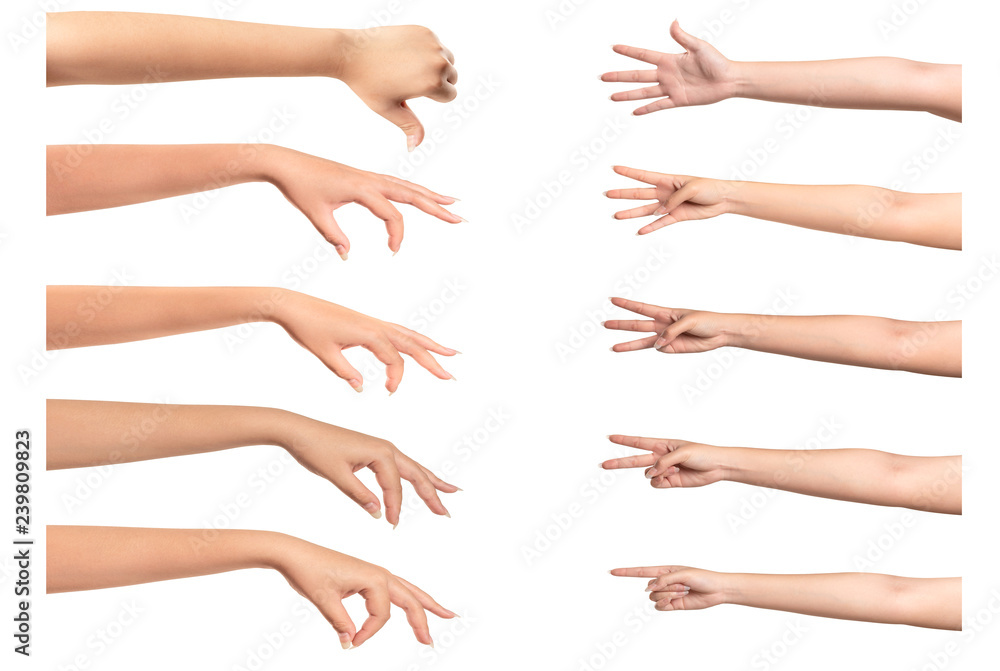 Woman hands  isolated on white background.