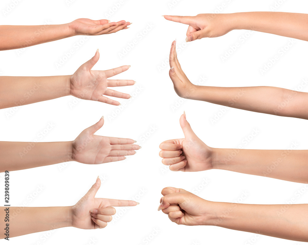 Set of woman hands isolated on white background Set of woman hands isolated on white background