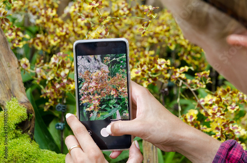 Girl taking photos with a smartphone of colourful flowers