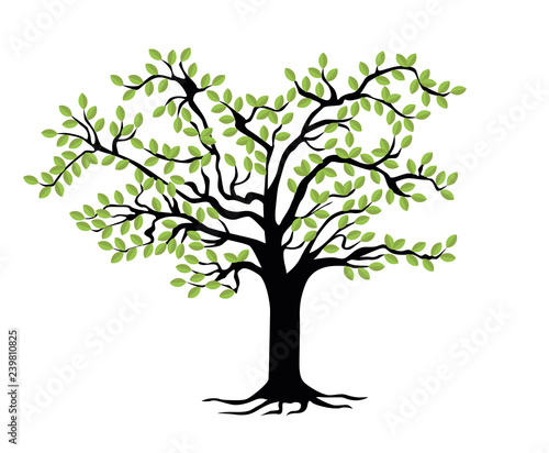 Family Tree template. Vector illustration