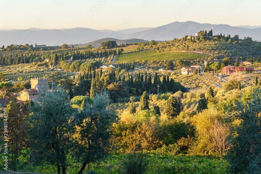 Countryside landscape, Vineyard in Chianti region. Tuscany. Italy.