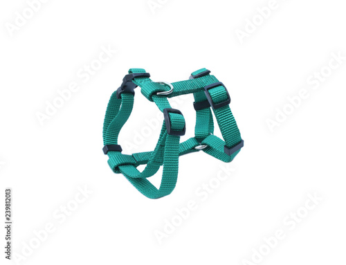 Pet harness isolated on white background.  Pet accessories concept