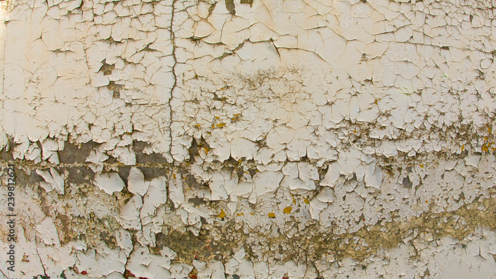 Fototapeta premium Isolated close view of weathered exterior wall with heavily peeling paint and moss growth