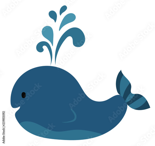 whale in the sea