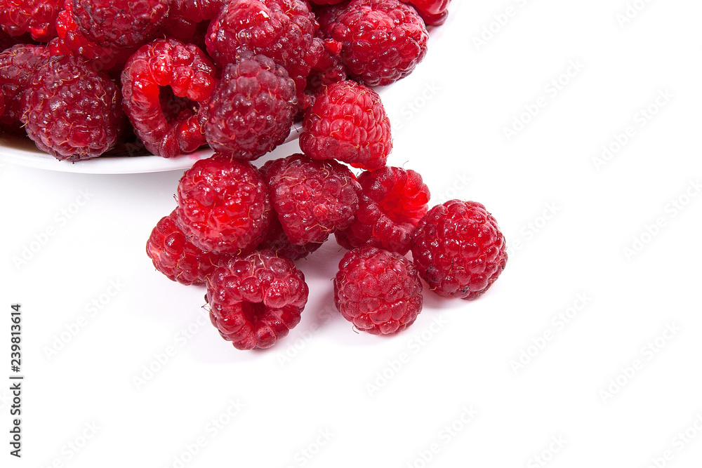 Harvested juicy ripe raspberries fruit on white background.. Harvested juicy ripe raspberries fruit on white background..