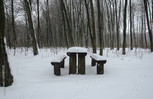 Table in the winter forest