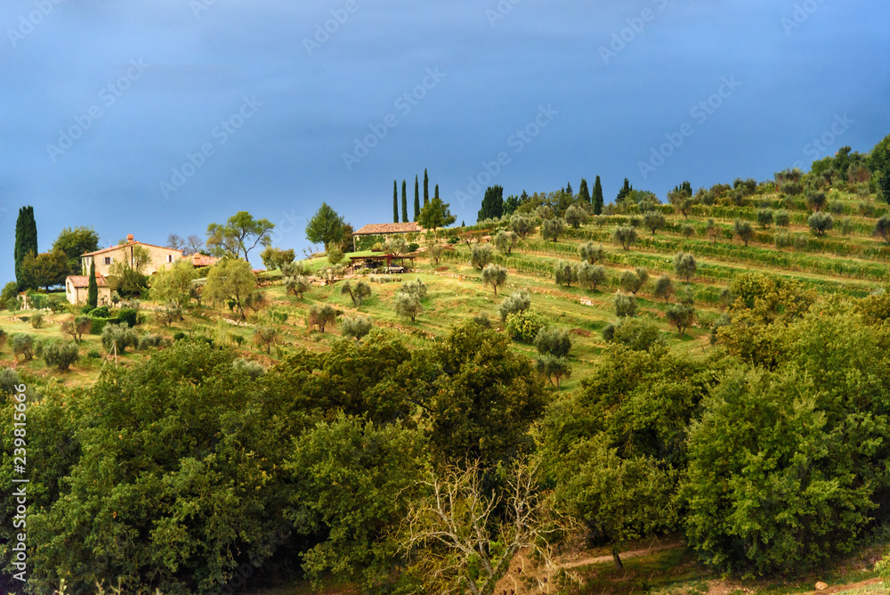 View on Fonterutoli on sunrise. It is hamlet of Castellina in Chianti in province of Siena. Tuscany. Italy. View on Fonterutoli on sunrise. It is hamlet of Castellina in Chianti in province of Siena. Tuscany. Italy.