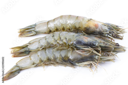 gambas