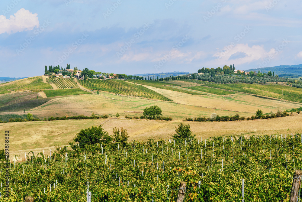 Landscape in Chianti region in province of Siena. Tuscany. Italy