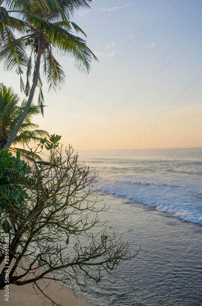 Sunrise on the coast of the Indian Ocean in Sri Lanka Sunrise on the coast of the Indian Ocean in Sri Lanka