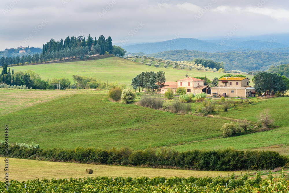Landscape in Chianti region in province of Siena. Tuscany. Italy