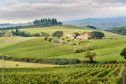 Landscape in Chianti region in province of Siena. Tuscany. Italy