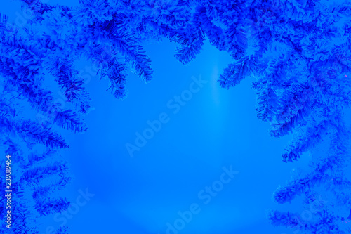 Frost on the Christmas tree...