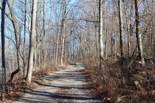 The long gravel path up the hill in the forest.