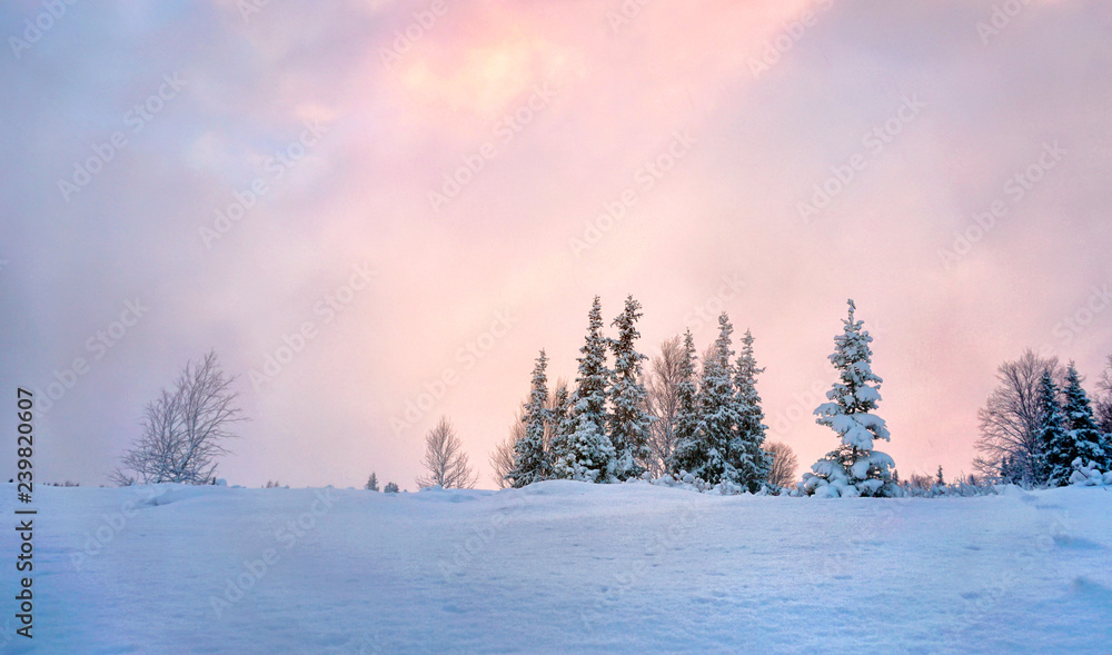  Beautiful winter landscape in the in the winter season at Lovozero, north of Russia.